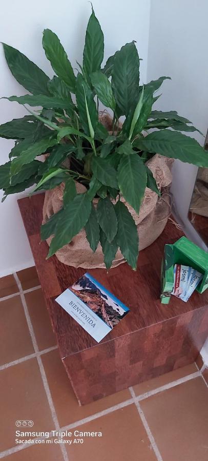 شقة Breña Baja  في Brenas Garden C9 المظهر الخارجي الصورة