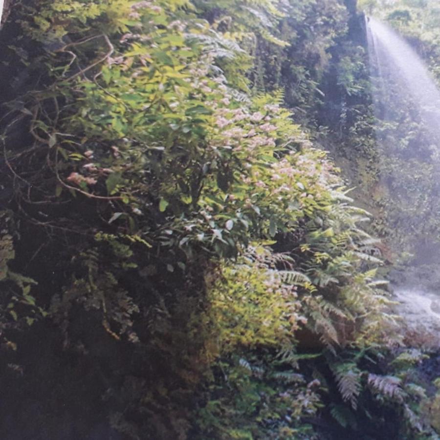 شقة Breña Baja  في Brenas Garden C9 المظهر الخارجي الصورة